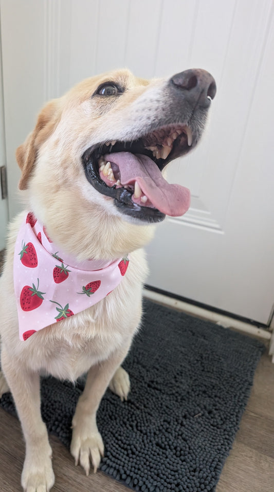 Strawberry Bandana