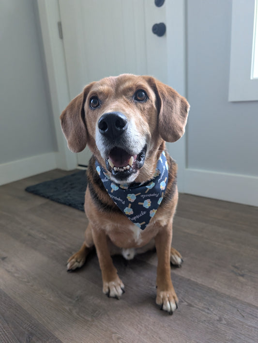 Pupsicle Bandana